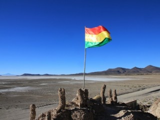 Vlag/ flag