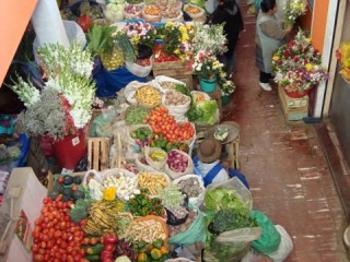 Goede groente en fruit/ good fruits and vegetables