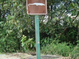 Pas op, krokodillen/ watch for crocs