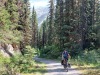 Bospad/ forest path