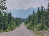 Lange weg/ long road