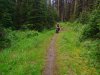 Single track