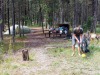 Camping/ campground