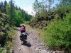 Oude treinroute/ old railway