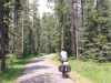 Fietspad/ bikepath
