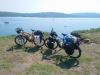 De fietsen/ the bikes