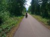 Door het bos/ through forest