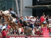 Stierrijden/ bull riding