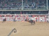 Op paard/ Horseback
