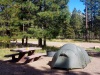 Camping/ campground