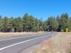 Op weg naar de Grand Canyon/ on our way to Grand Canyon