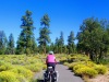 Fietspad/ bikepath