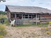 Huisje/ hut