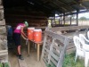 Vers water/ fresh water