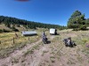 Ranch van Scott/ Scott's Ranch