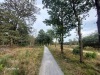 Natuur/ nature