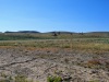 Weer heet en zonnig/ hot and sunny again