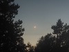 Maan/ moon