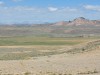 Woestijn/ desert