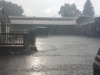 Zo veel regen/ so much rain
