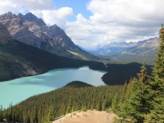 Peyto Lake
