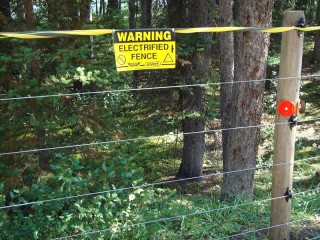 Tegen beren/ against bears