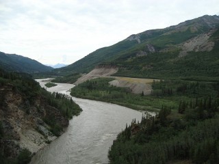 Op weg naar Denali/ on our way to Denali