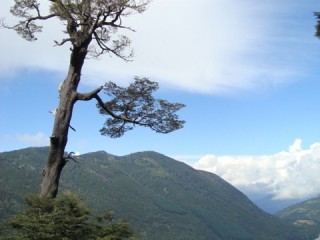 Hoog/ high