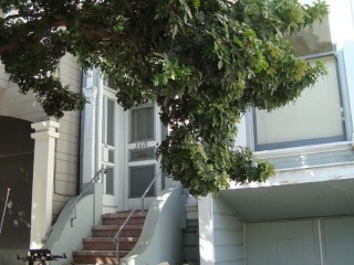 Terug/ back in San Francisco