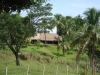 Tropische boerderij/ tropical farm