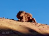 Structuren/ structures