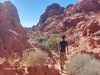 Hiking