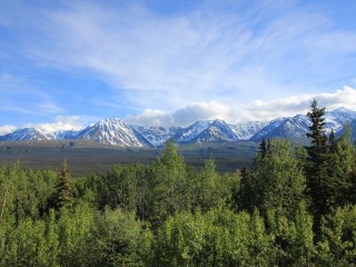 Uitzicht huis/ view from the house