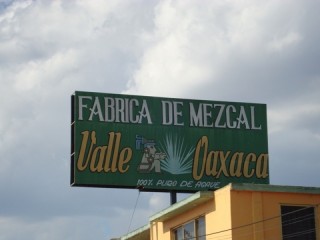 Mezcalfabriek/ Mezcalfactory