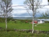 Boerderij/ farm