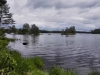 Overal water/ water everywhere