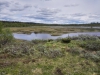 Hoogvlakte/ highlands